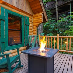 Mt Baker Forest Cabin with BBQ & Firepit, Dogs Ok