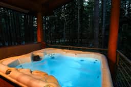 Luxury Forest Escape • Hot Tub & Fireplace - Image 3