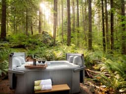 Treetop Hideaway • Hot Tub + King Bed - Image 3