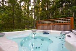 Mt Baker Forest Cabin Hot Tub Fireplace - Image 3