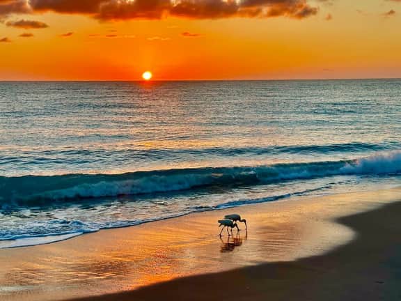 Seaglass Villa | Condo w/ King Bed + Pool Access