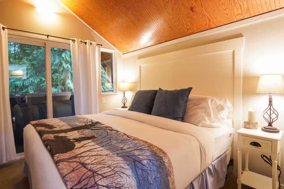 Kulshan Cabin near Mount Baker with Wood Fireplace and Dog Friendly Comfort - Image 3