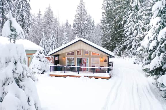 Mt Baker Family Cabin with Fireplace and Backup Generator - Image 2