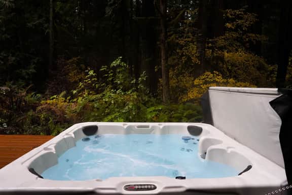 Romantic Mt. Baker Cabin with Hot Tub - Image 3
