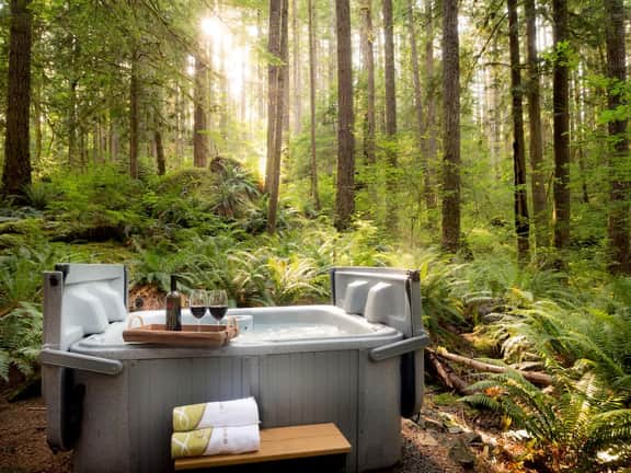 Treetop Hideaway • Hot Tub + King Bed - Image 3