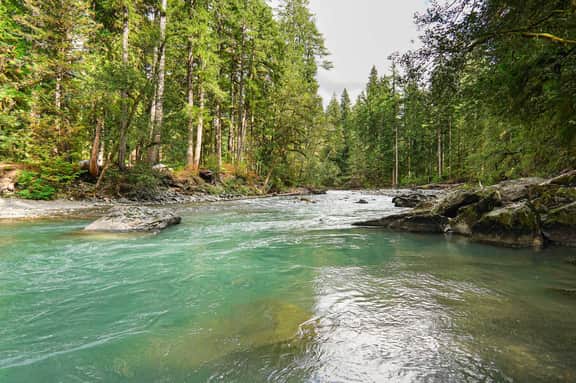 Moonriver Retreat Riverfront Condo Near Mt Baker with Fireplace Indoor Pools Hot Tubs and Sauna - Image 3