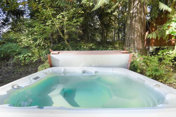 Mt Baker Cabin with Private Hot Tub and Fireplace - Image 2