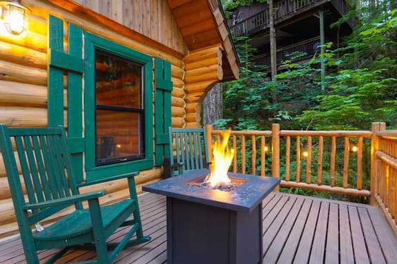 Mt Baker Forest Cabin with BBQ & Firepit, Dogs Ok - Image 1