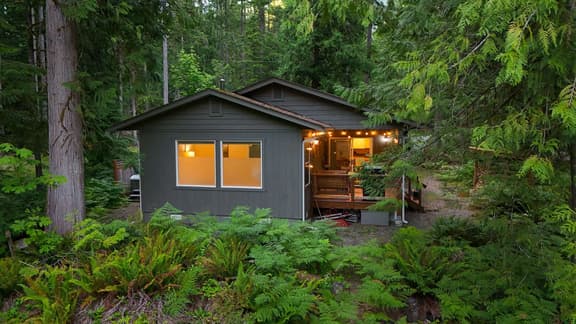 Mt Baker Forest Cabin Hot Tub Fireplace - Image 1
