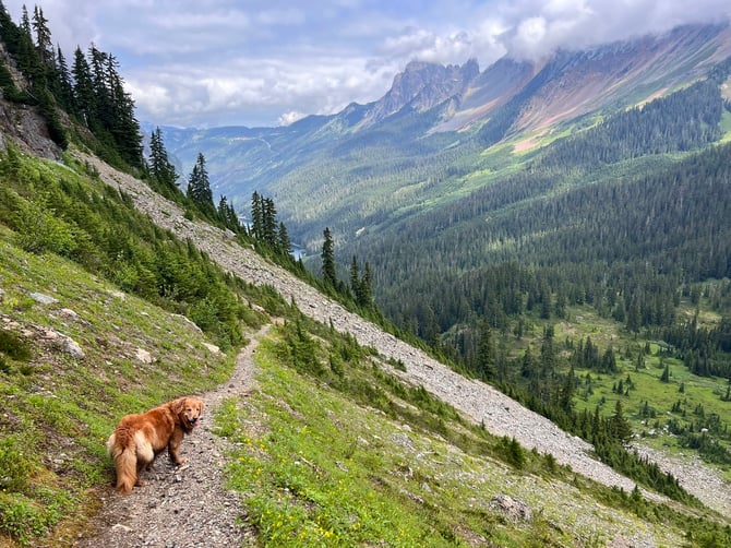 Tomyhoi Lake Trail