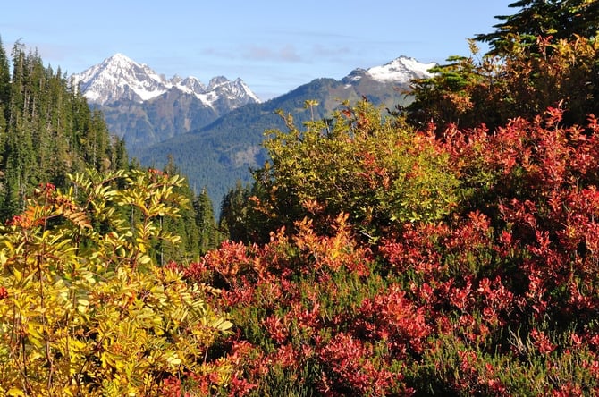 Wild Goose Trail