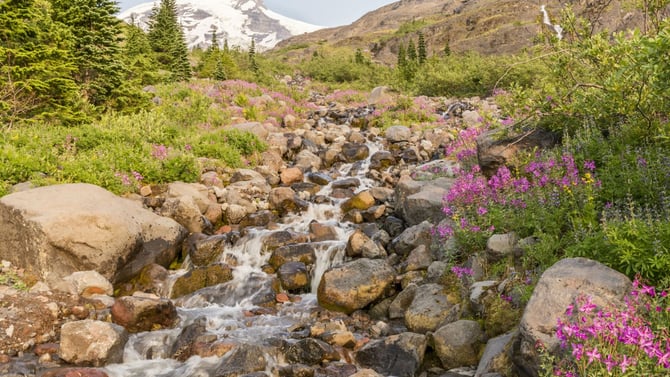 Boyd Creek Trail