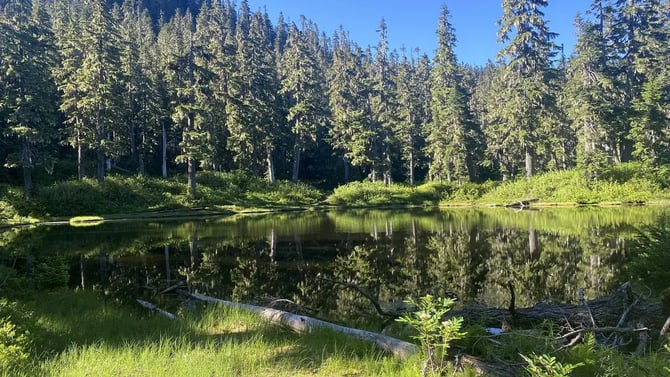 Damfino Lakes Trail