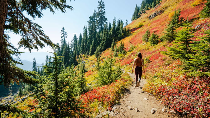 Yellow Aster Butte Trail