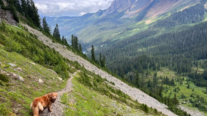 Tomyhoi Lake Trail