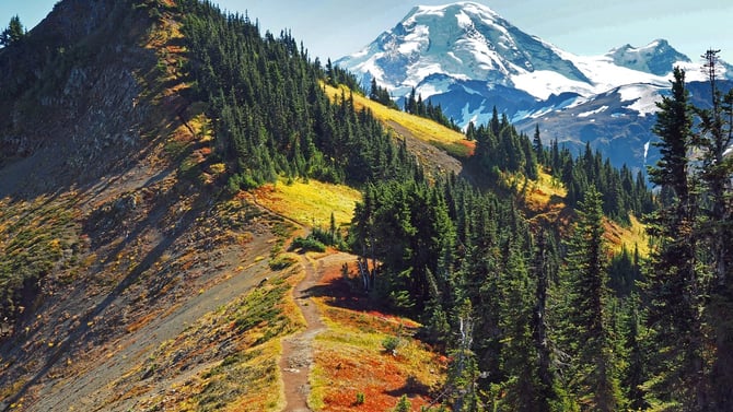 Skyline Divide