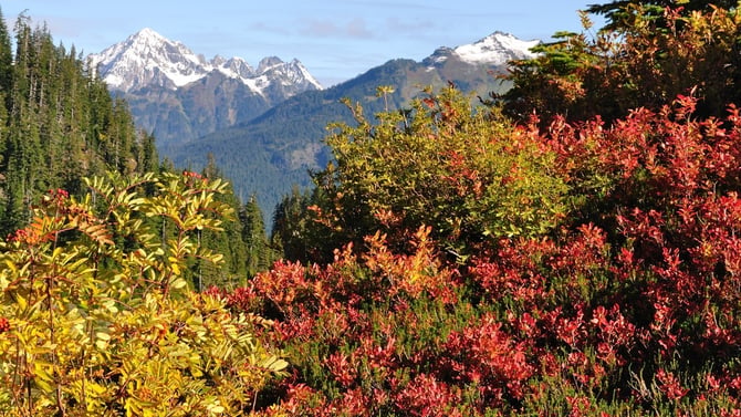 Wild Goose Trail